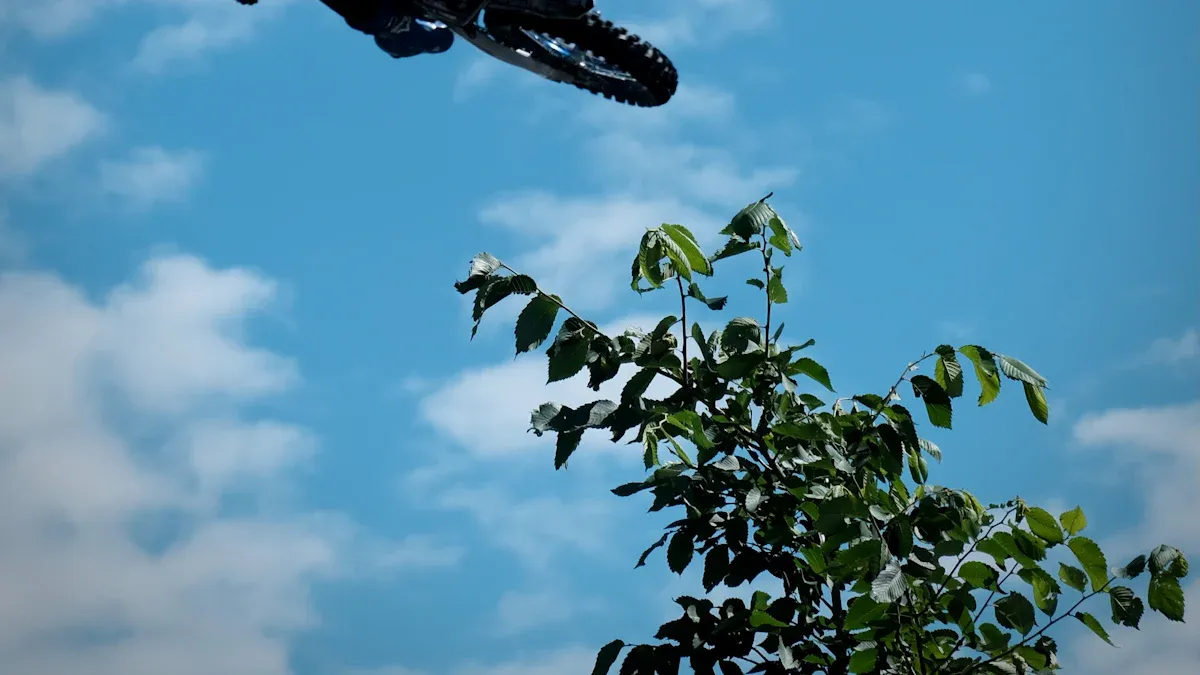 Jump & Flip Stunt