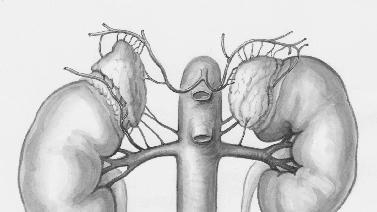 Sex on UTI: Main Risks