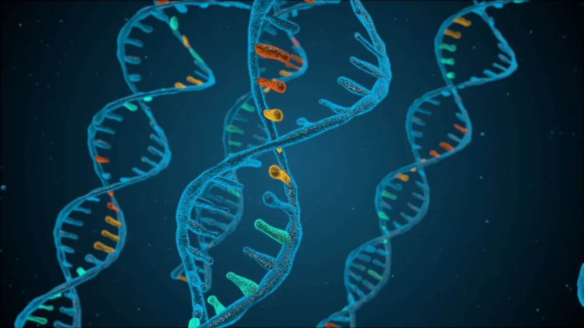 Steps to Mitigate Cancer Risk