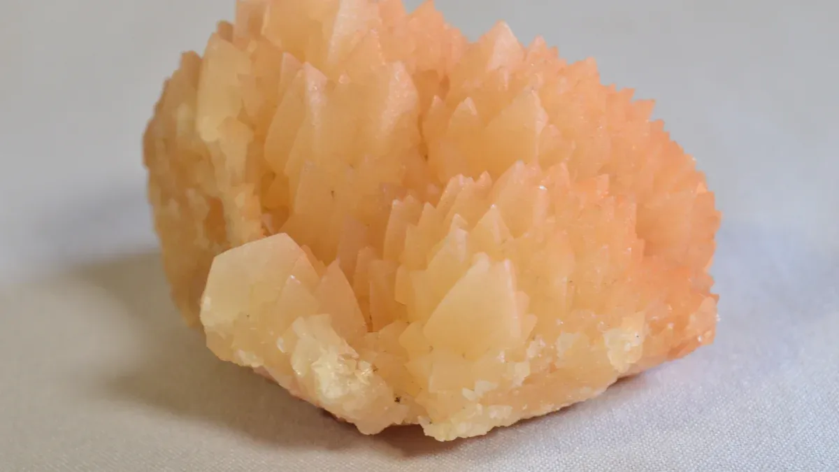 Key Minerals for Cancer Prevention