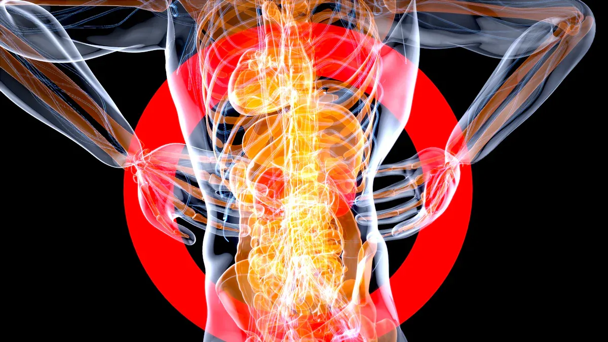 Nervous System and Breath