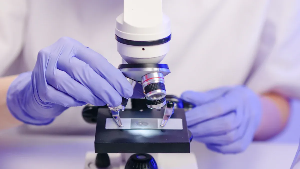 Interpreting Your Results