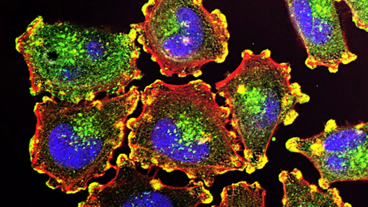 Is Cancer a Single Disease or Many?