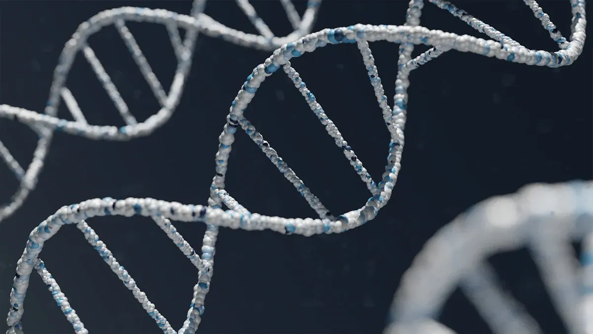 Genetics and Cancer Risk