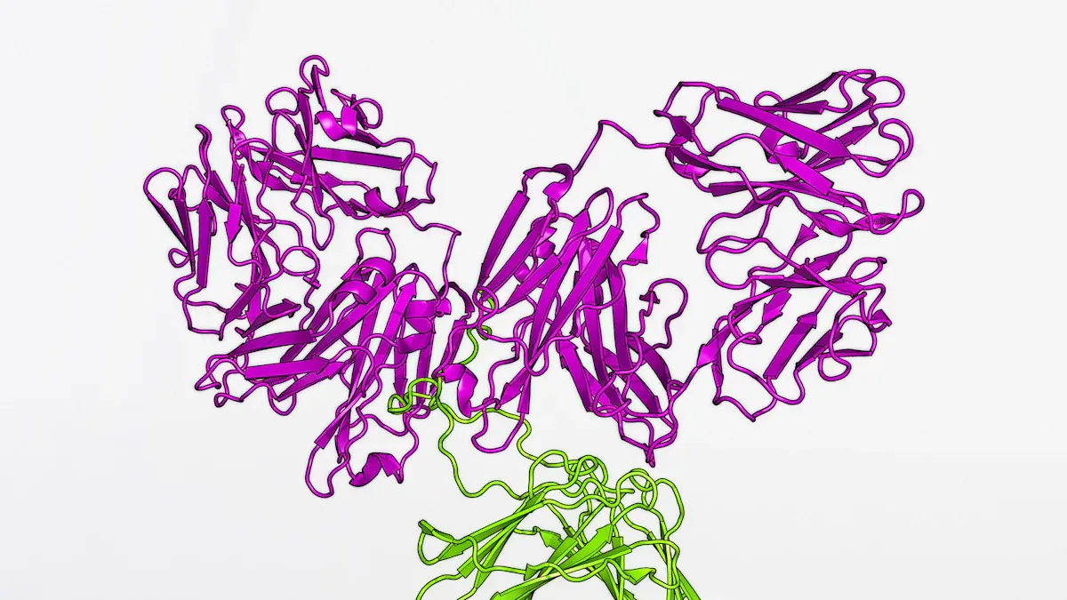 Dual-antibody Immunotherapy for Multiple Myeloma