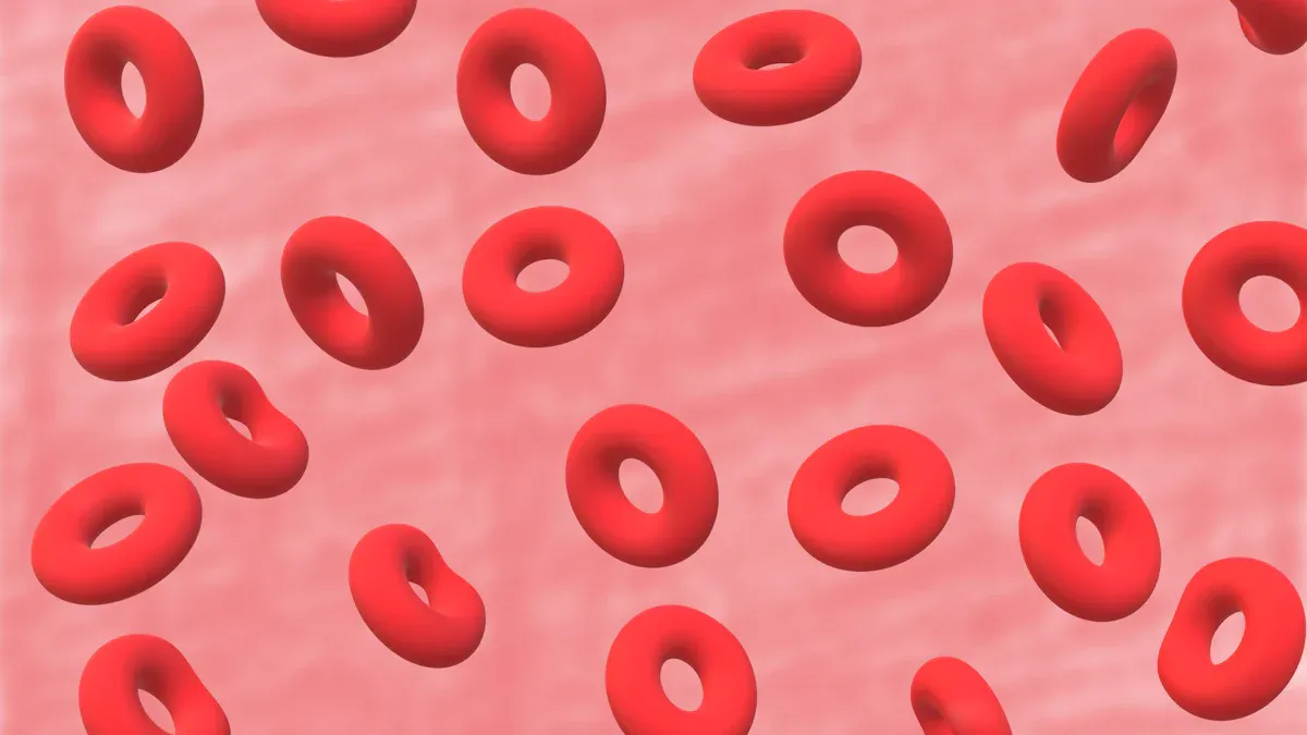 What Is Acute Myeloid Leukemia in Simple Terms