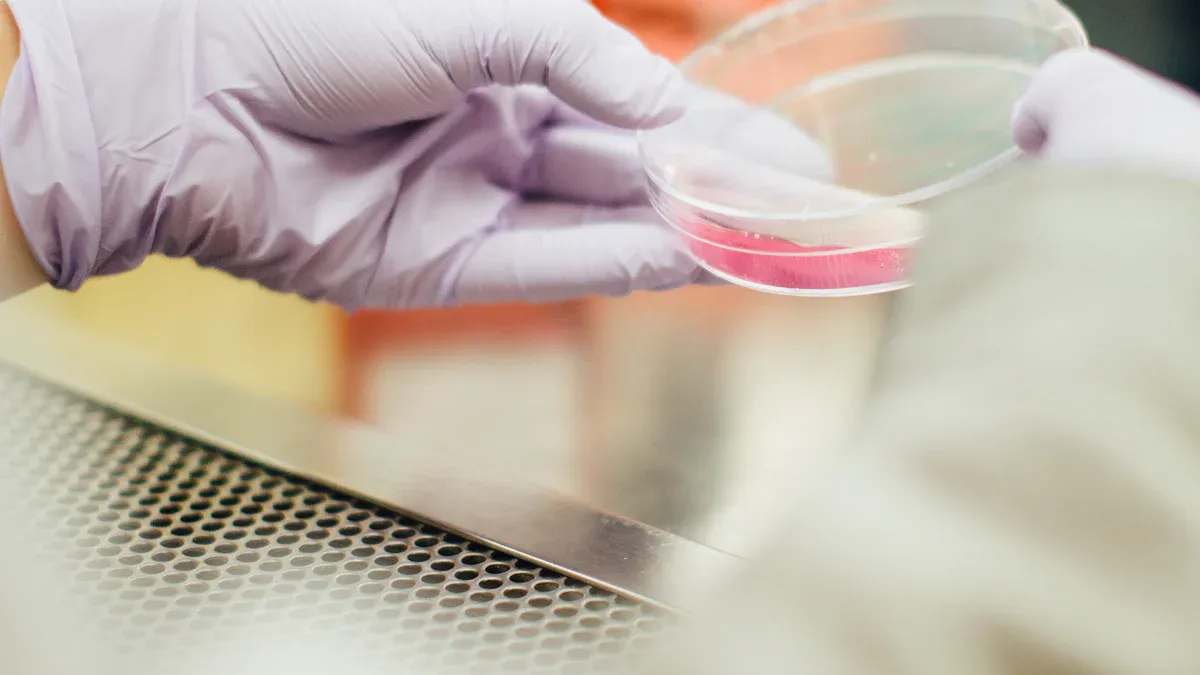Understanding Biopsies and Their Role in Cancer Detection