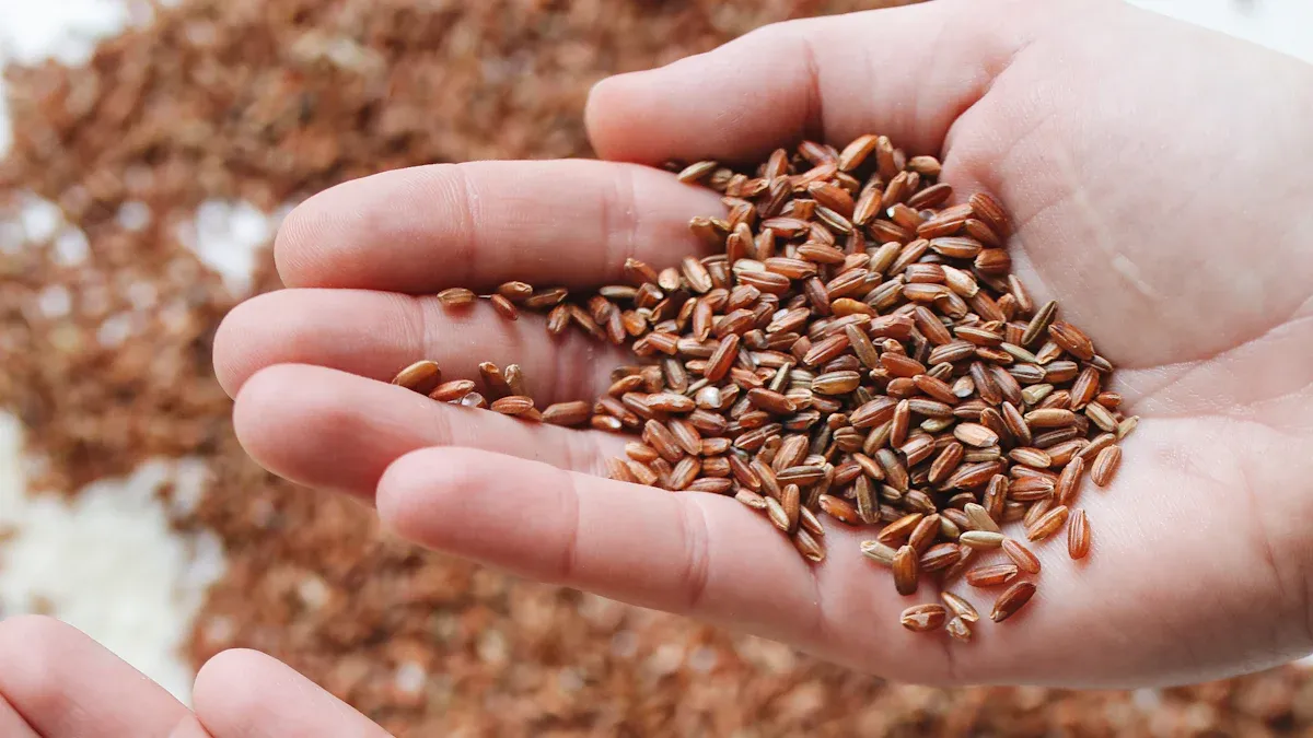How Omega-3 Fatty Acids Support Cancer Prevention and Treatment