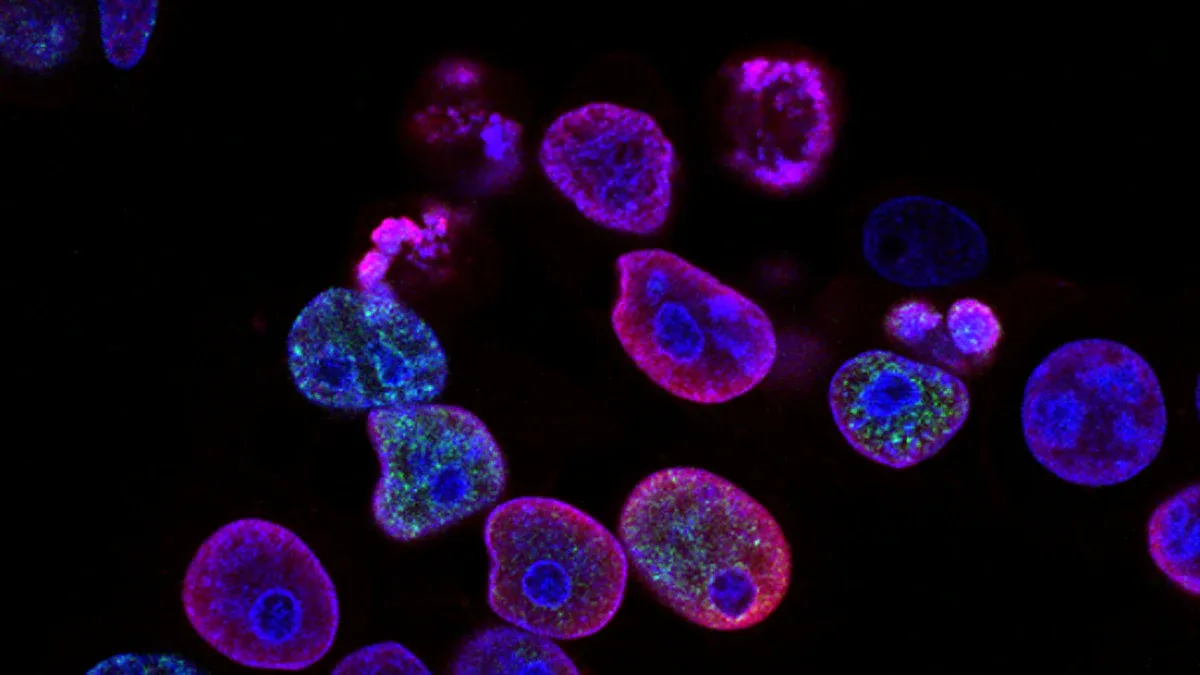 Photodynamic Therapy - Shedding Light on Cancer Cells