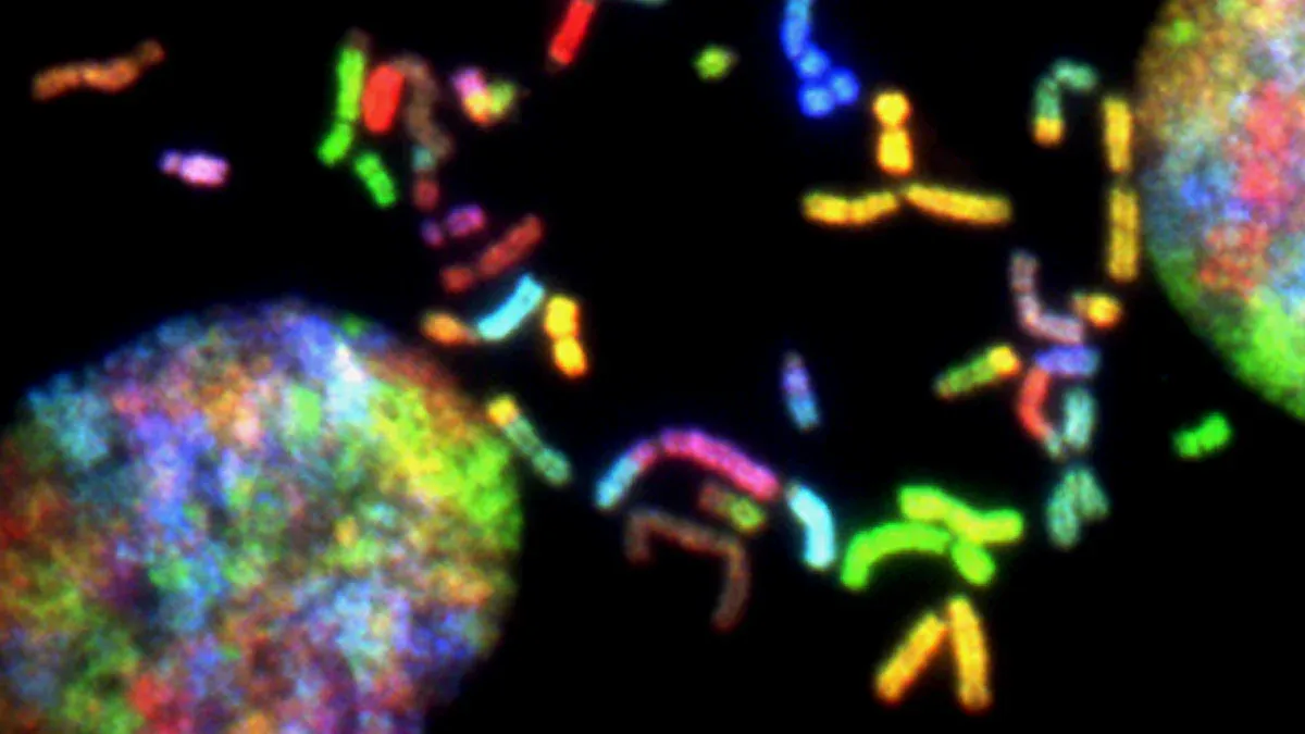Types of Genetic Mutations in Cancer