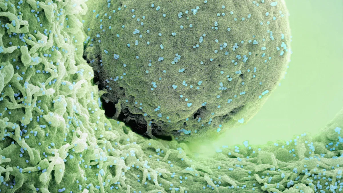 Nanotechnology in cancer treatment