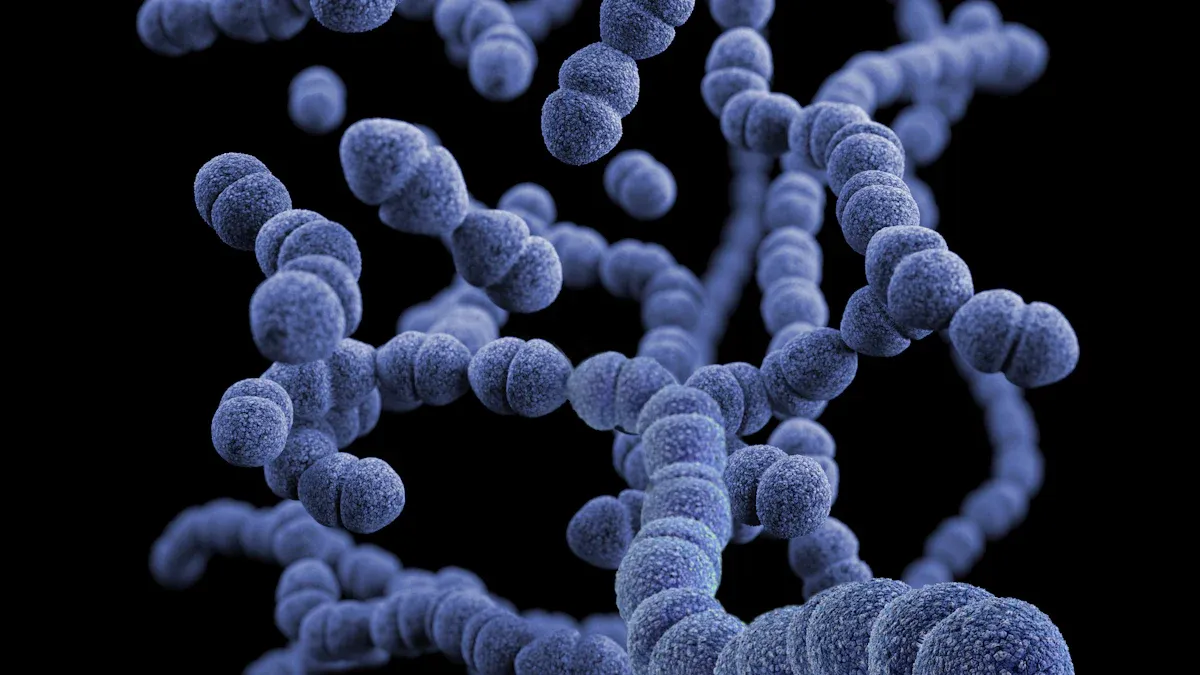 Understanding the Role of Probiotics in Cancer Care