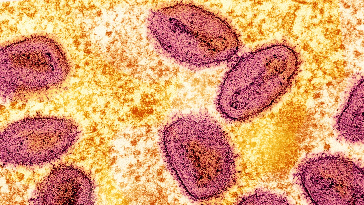 Can Cancer Be Transmitted Through Air or Physical Contact