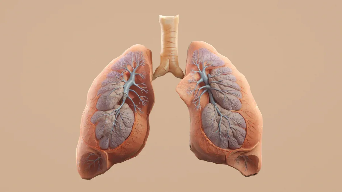 Corticosteroids and Immunotherapy in Lung Cancer