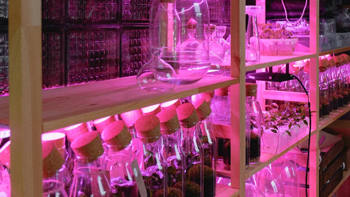 LED Grow Light Solutions