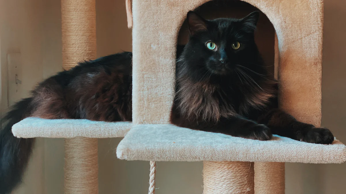 Why Wooden Cat Trees Are Durable and Stable