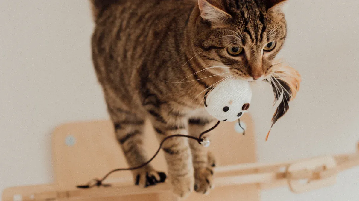 Kittens and Catnip Reactions