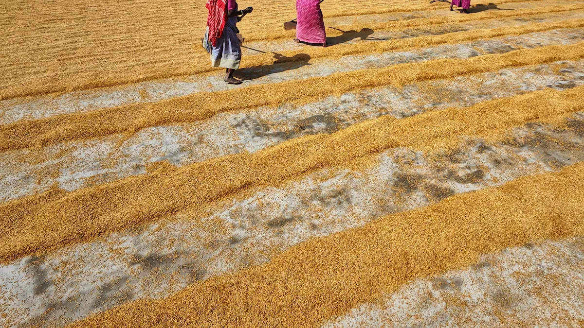 Post-Harvest Handling