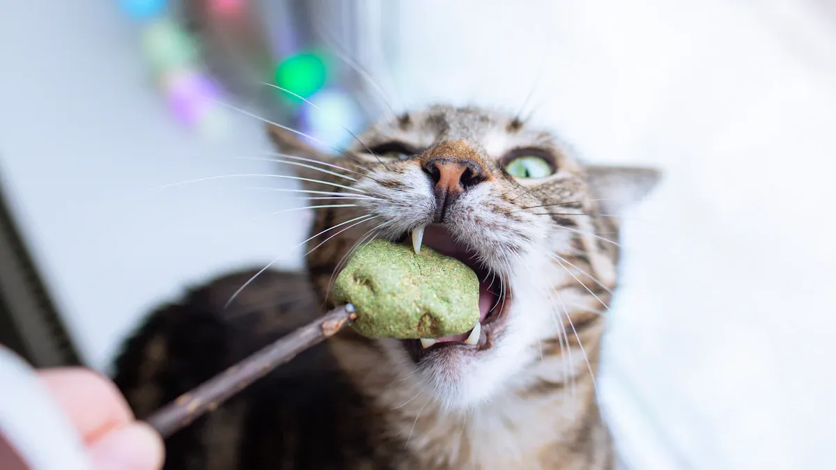 Catnip Ball Toy Safety