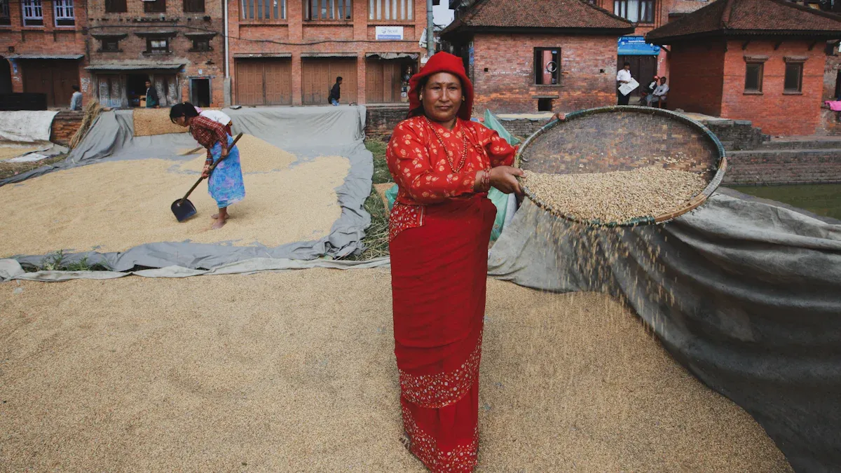 Why Modern Rice Mills Rely on Rice Silky Polishers