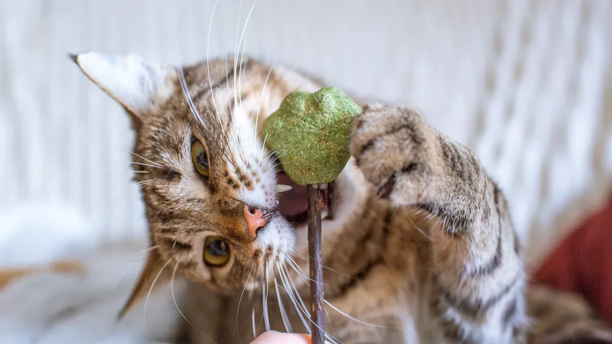 Catnip Ball Toy