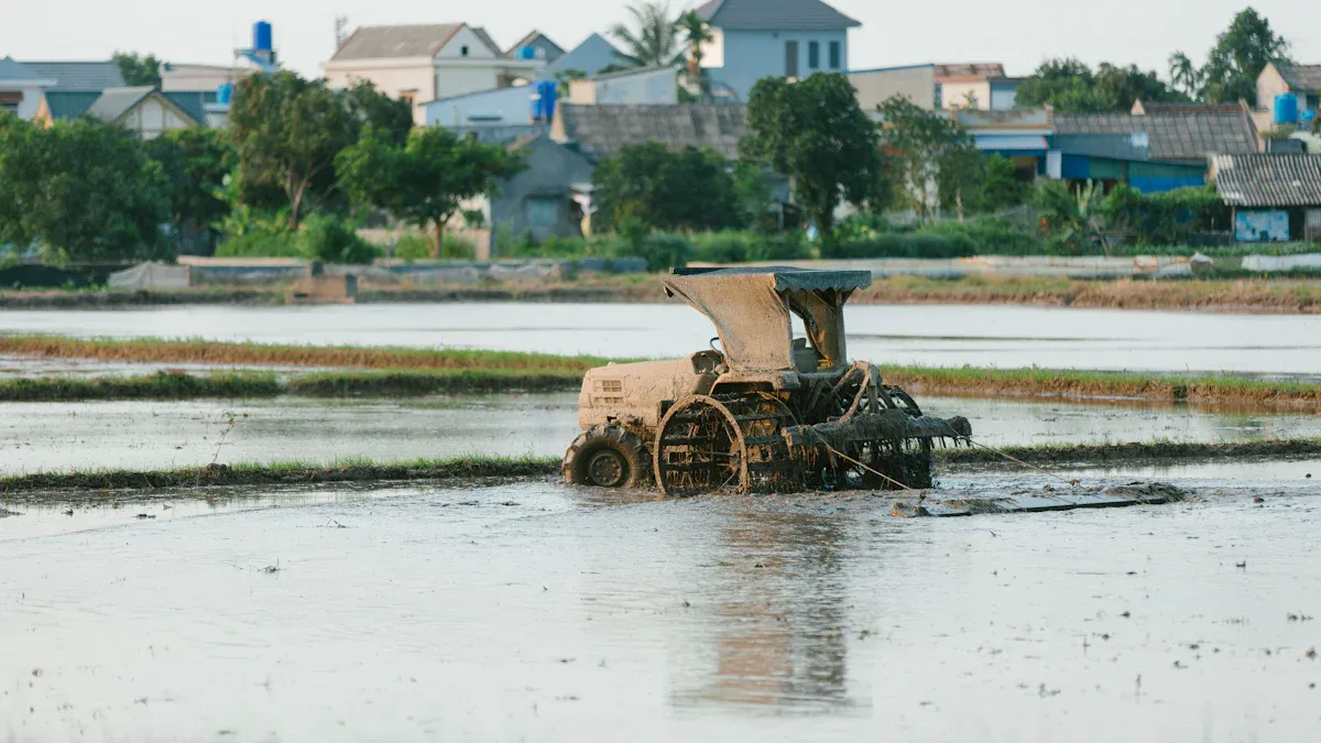 Reviewing the Top Rice Mill Processing Equipment for Small Businesses