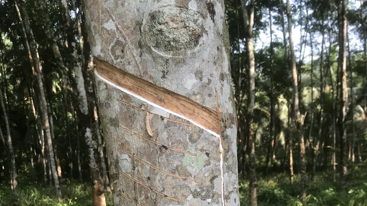 Vulcanization Overview