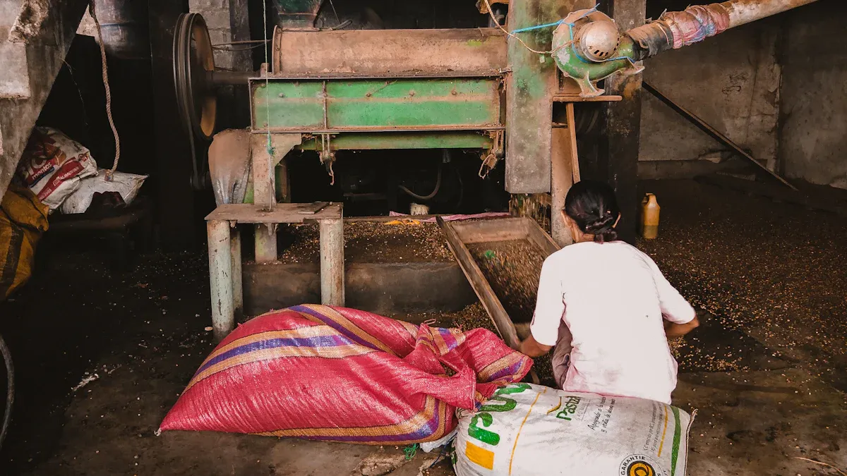 How to Choose the Right Big Rice Mill Equipment for Your Business