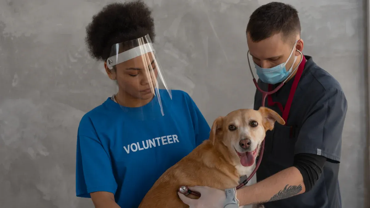 How X-rays Diagnose Fractures