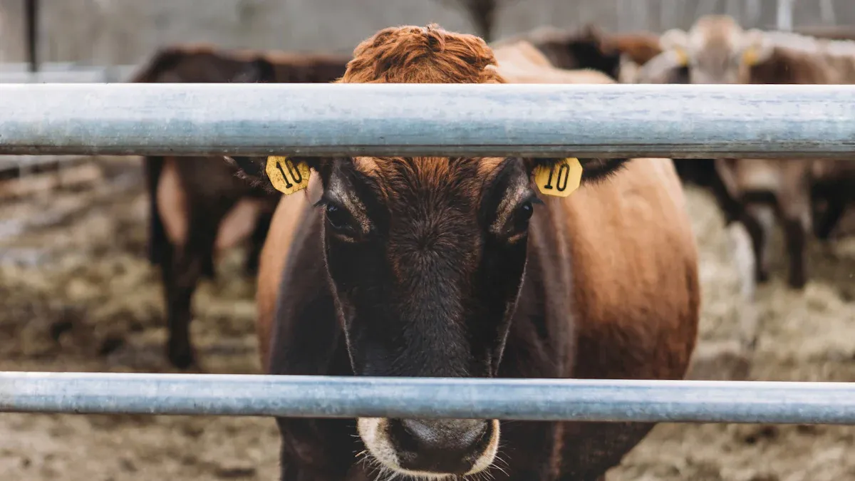 Livestock Fences: Understanding Different Fence Types Impact on Livestock Security