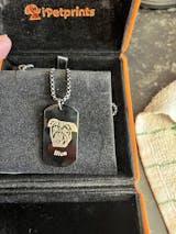 Stories from Pet Lovers