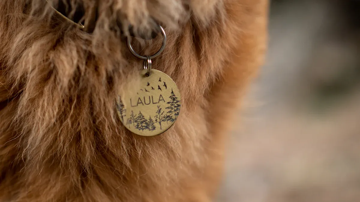 Unique Features of Personalized Dog Necklaces