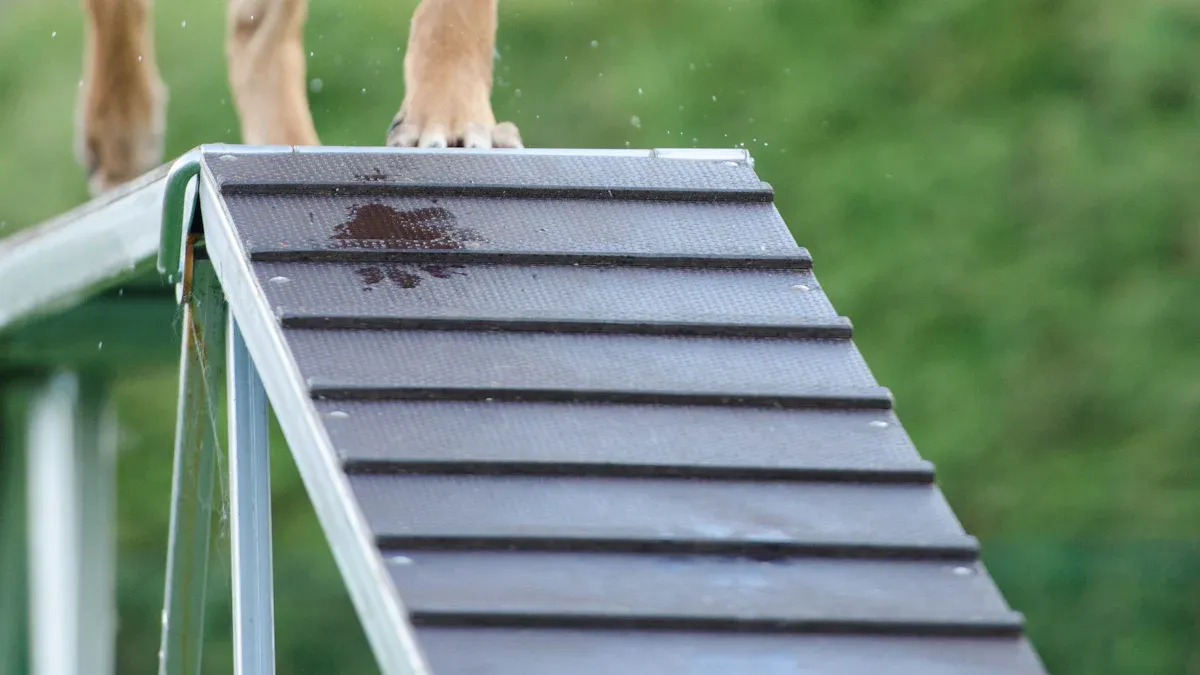 Top Factors That Shape Dog Behavior in 2025