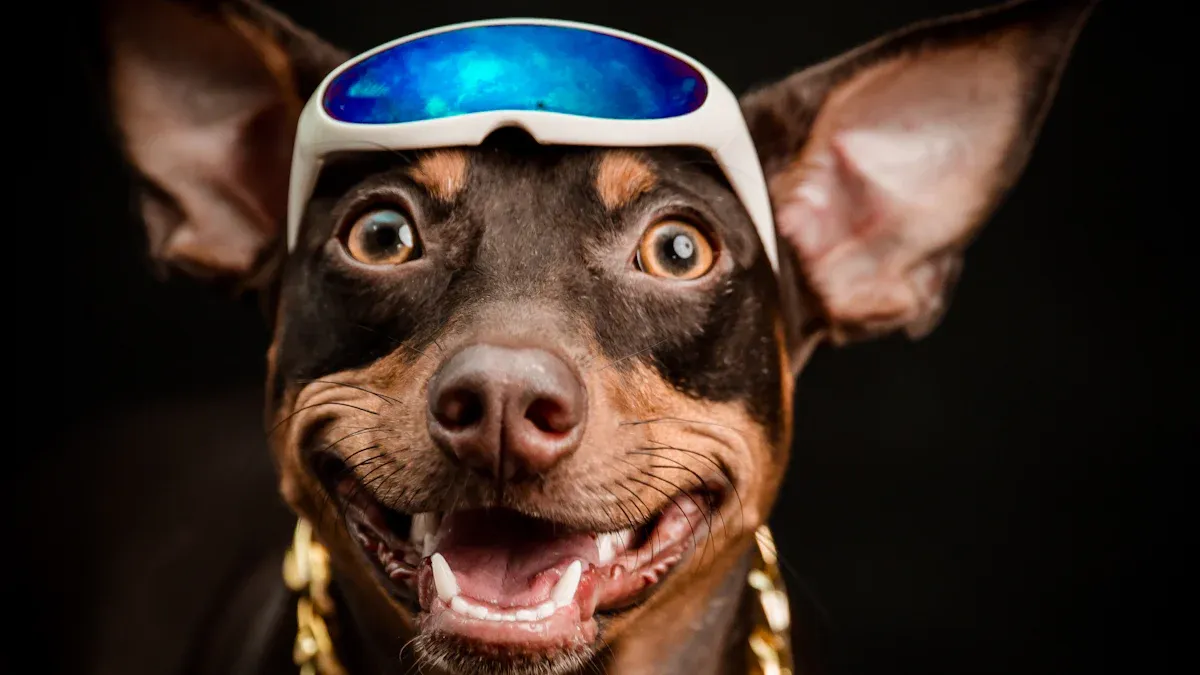 Top Dog Necklace Gifts for Dog Lovers in 2025