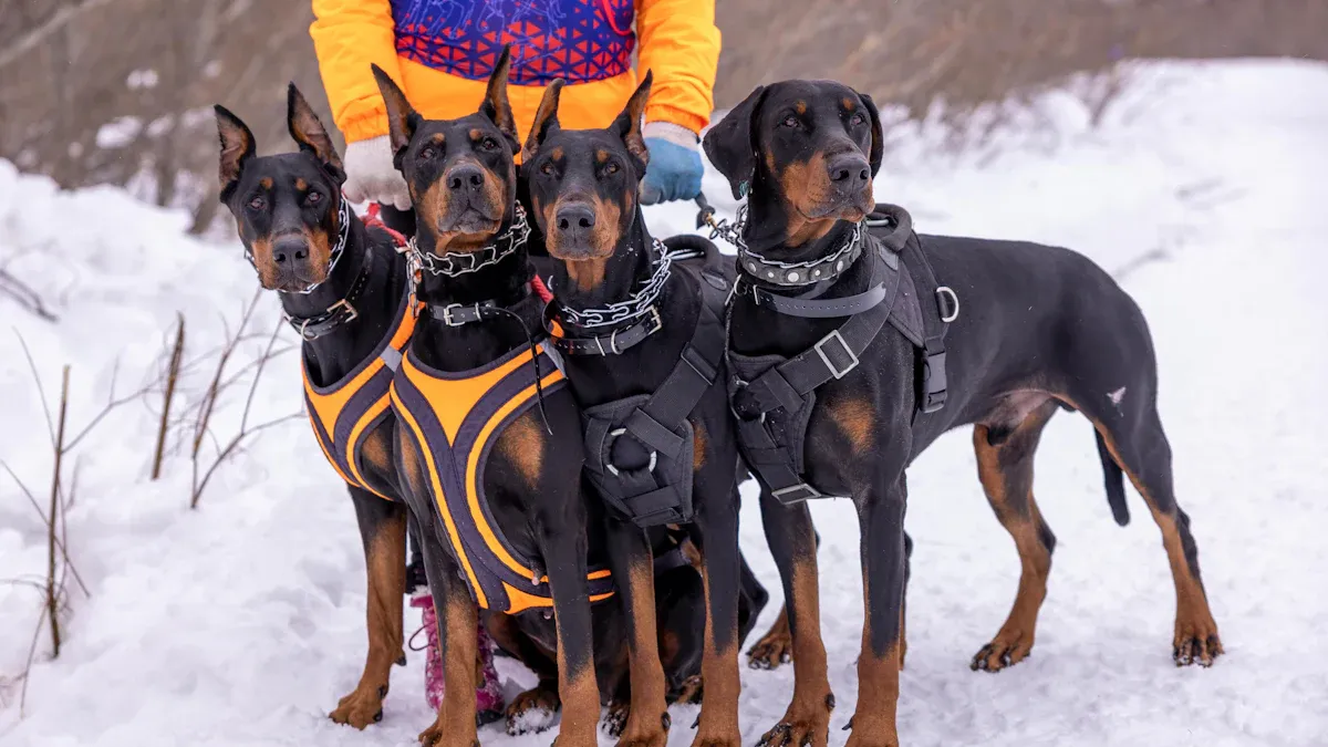 Top 10 Most Fierce Dog Breeds You Should Know in 2025