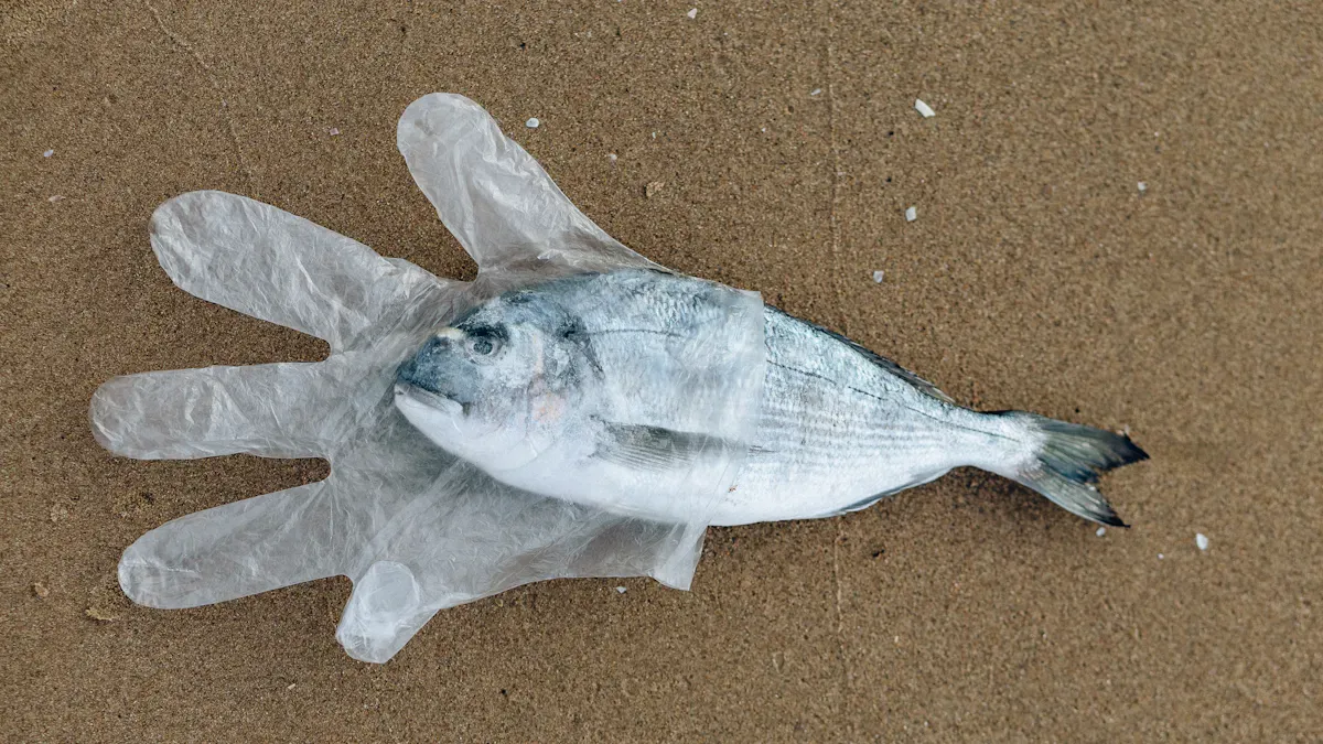 Breakdown in Ocean Water