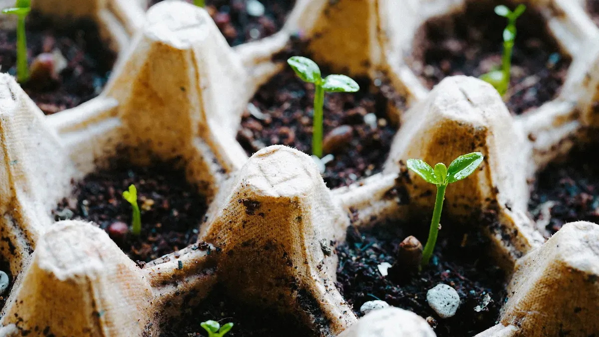 Choosing Recycled Seed Starting Containers