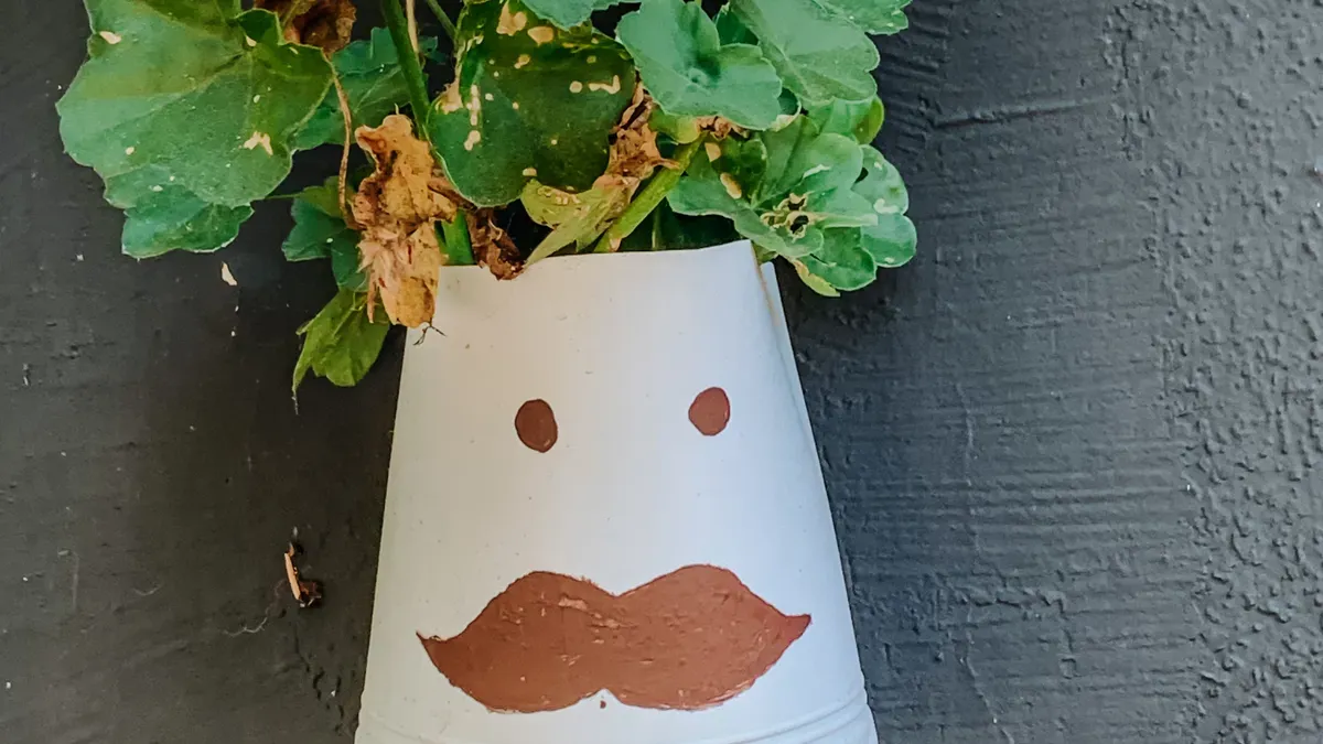 Step-by-Step Gardening with Recycled Containers