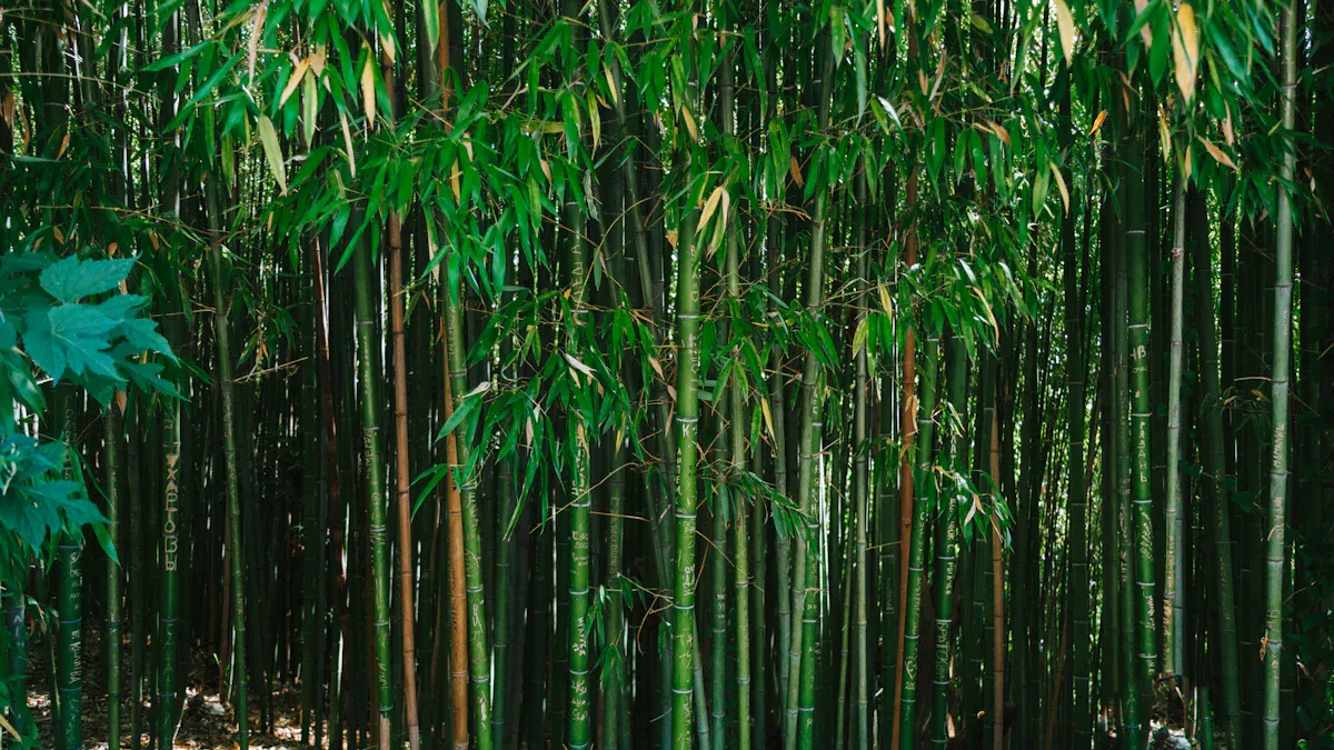 Is bamboo disposable cutlery sustainable?
