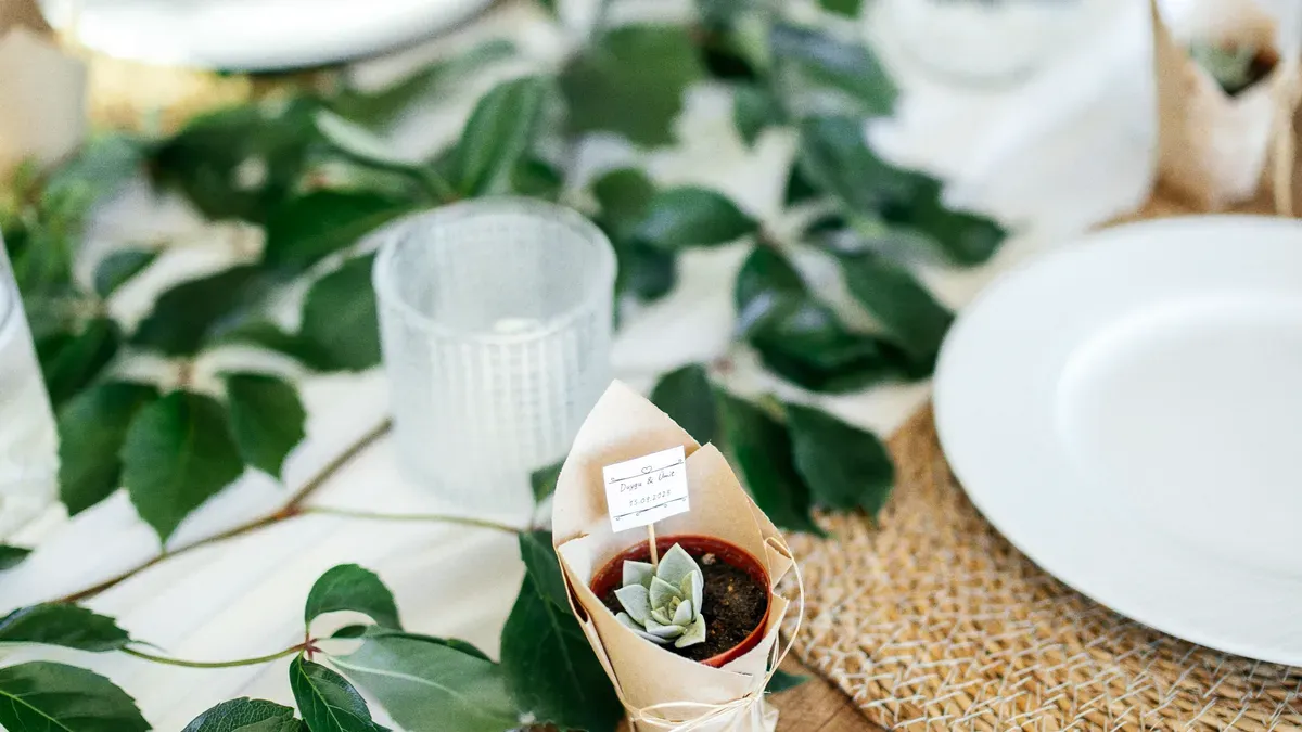 Ecolipak’s Palm Leaf Plates: Eco-Friendly Serving