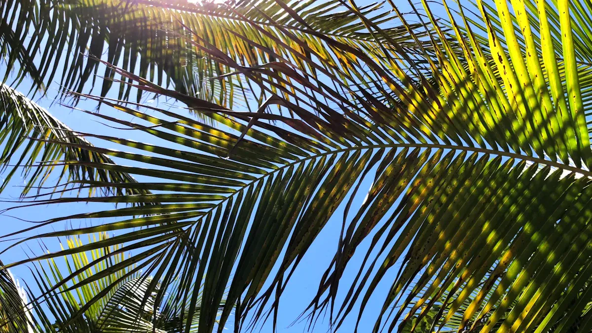 Sustainability: Palm Leaf Plates vs. Bamboo Plates