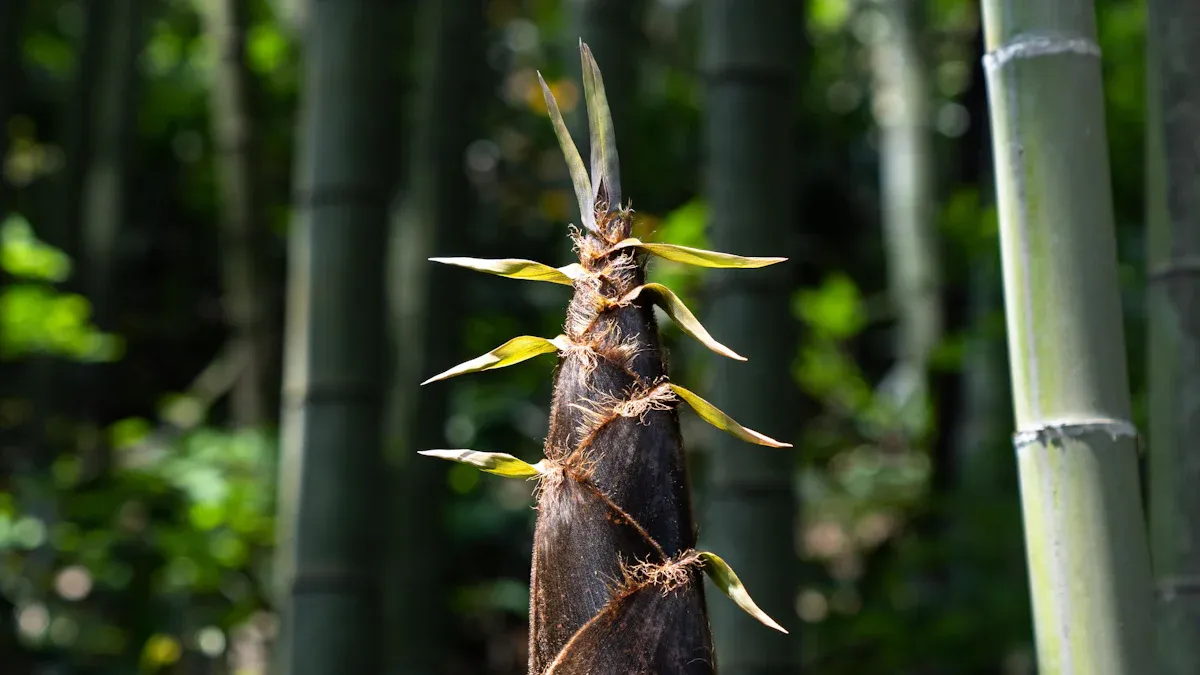 Bamboo’s Self-Regeneration Loop