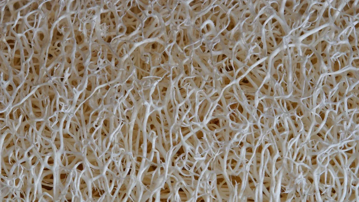 Bamboo’s Linear Fiber Structure Explained