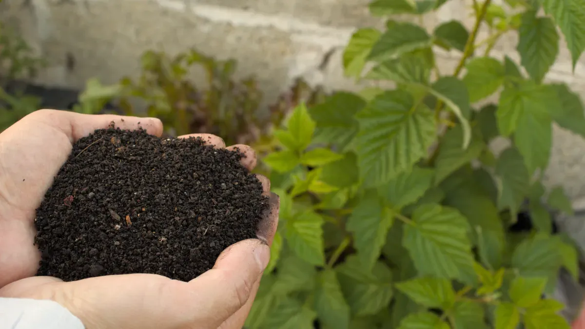 Circular Economy Takeout: The Composting Process