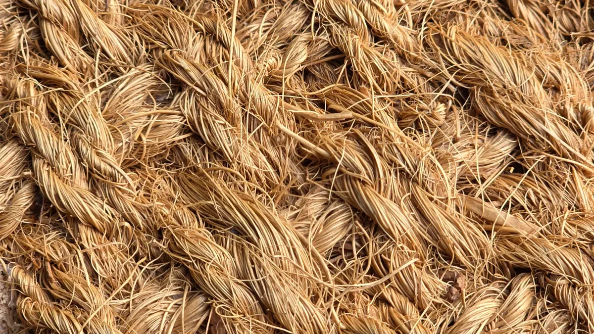 2-Ply Plant-Fiber Webbing Basics