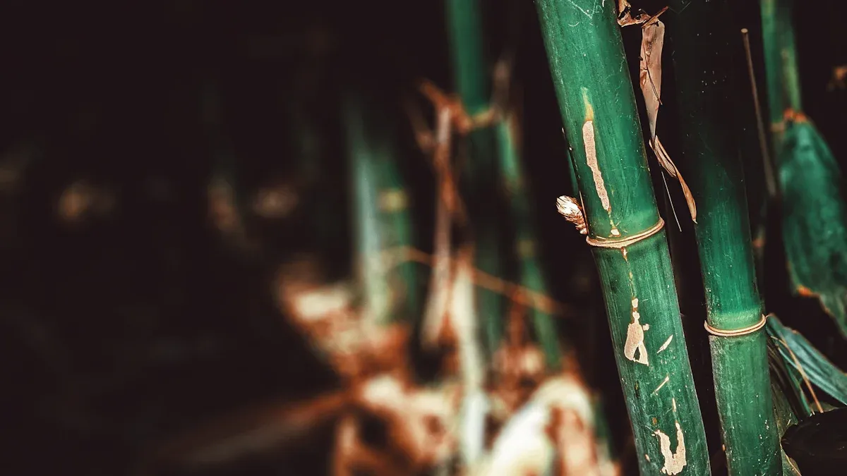Bamboo Toilet Paper Advantages
