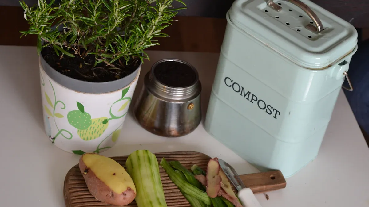 How to Dispose of Compostable Plates Responsibly
