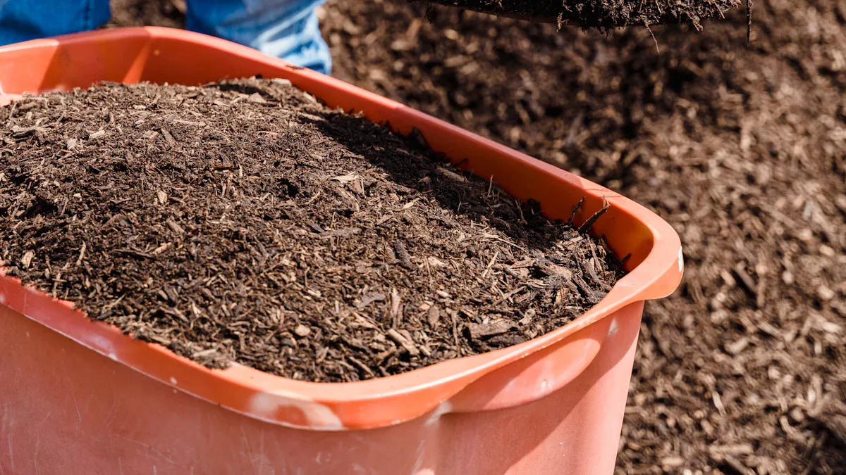 Decomposition Process