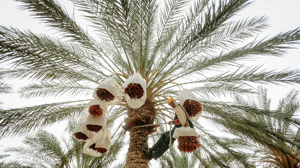 The Mechanical Strength of Ecolipak Plates