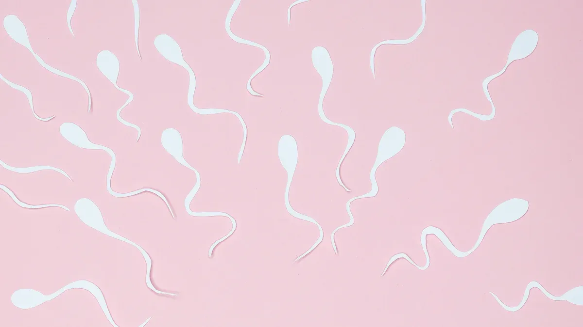 sperm